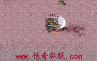 传奇私服网址哪里找？2026年最靠谱的几个推荐